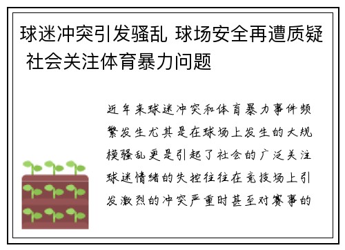 球迷冲突引发骚乱 球场安全再遭质疑 社会关注体育暴力问题